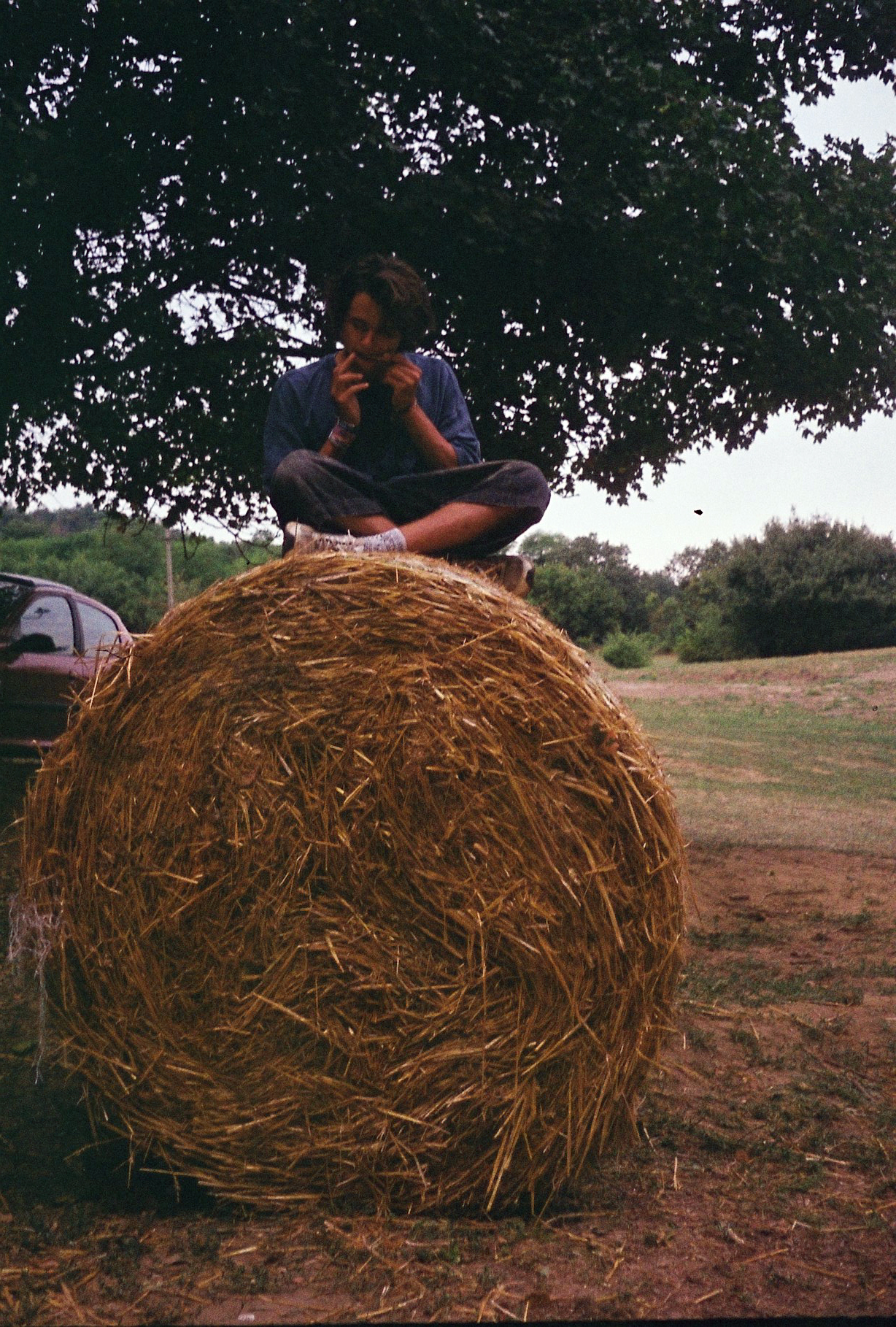 művészetek völgye